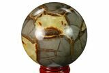 Polished Septarian Sphere - Utah #167609-1